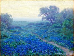 Bluebonnets al amanecer