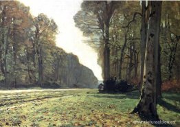 El Pavé de Chailly en el bosque