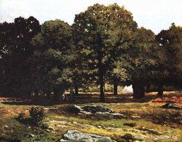 Avenida de las Castañas en La Celle Saint Cloud