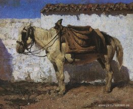 Caballo Blanco. Normandía.