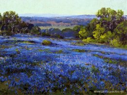 Bluebonnets, al final de la tarde, al norte de San Antonio