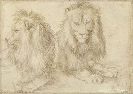 Dos leones sentados