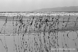 Pelo y alambre, Venice Beach