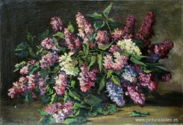 lilas