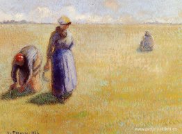 Tres mujeres cortando pasto