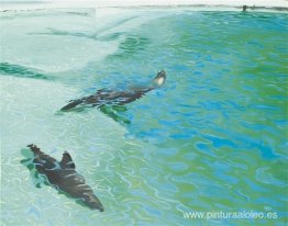 Otaries dans l'eau