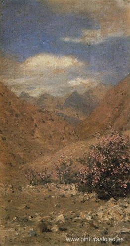 Rosas en Ladakh