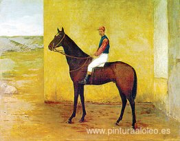 jinete y caballo