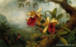 Orquídeas y colibríes