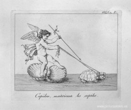 cupido y las tortugas