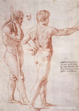 estudio desnudo