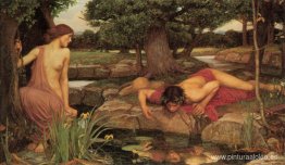 Eco y Narciso