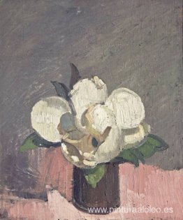 Magnolia