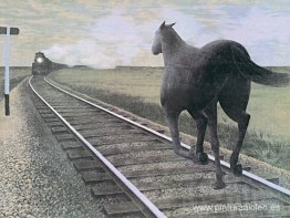 Caballo y tren