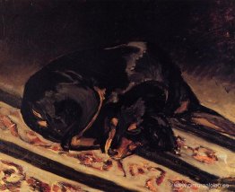 La perrita rita dormida