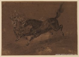 caballos corriendo