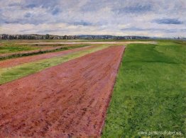 Estudio de paisaje en amarillo y rosa.