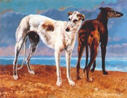 Galgos del conde de Choiseul