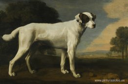 El perro blanco del vizconde Gormanston