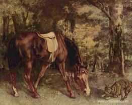 Caballo en el bosque