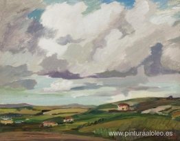 Paisaje con nubes grises