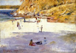 Playa varonil