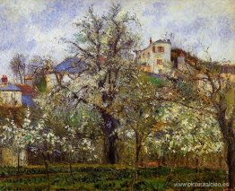 El huerto con árboles en flor, primavera, Pontoise