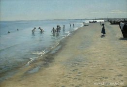 Día de verano en la playa sur de Skagen